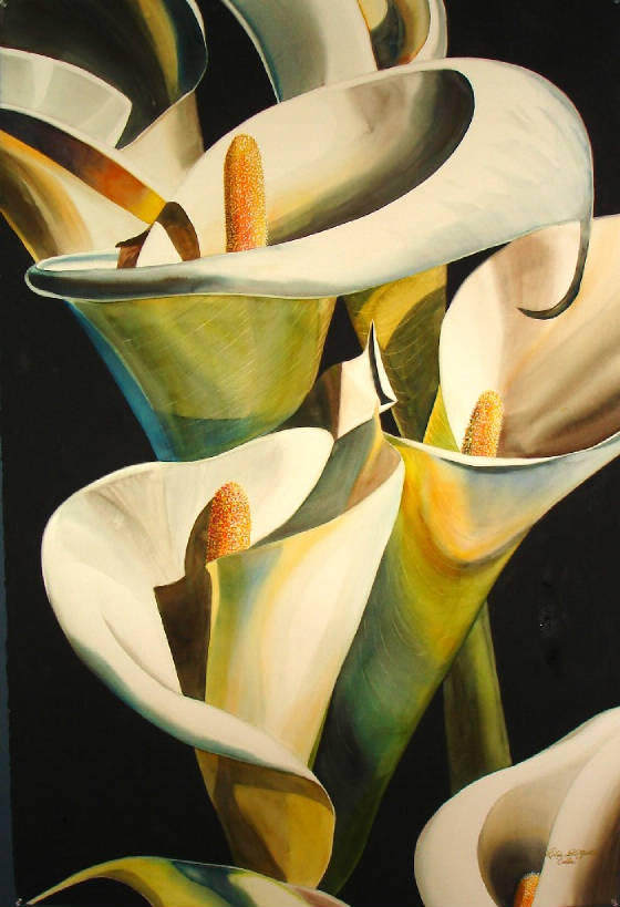 calla041.jpg