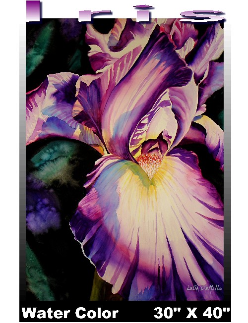iris.jpg